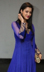 Richa Panai New Photos in Blue dress