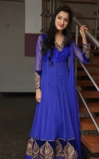 Richa Panai New Photos in Blue dress