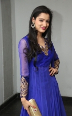 Richa Panai New Photos in Blue dress