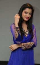 Richa Panai New Photos in Blue dress