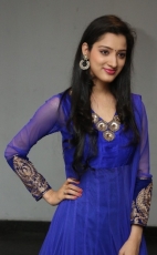 Richa Panai New Photos in Blue dress