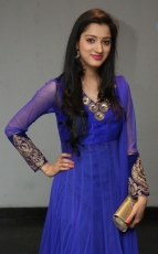 Richa Panai New Photos in Blue dress