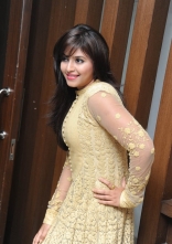 Anjali New Photos at Geethanjali Successmeet