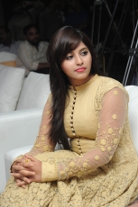 Anjali New Photos at Geethanjali Successmeet