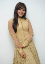 Anjali New Photos at Geethanjali Successmeet
