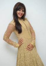 Anjali New Photos at Geethanjali Successmeet