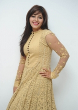 Anjali New Photos at Geethanjali Successmeet