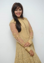 Anjali New Photos at Geethanjali Successmeet