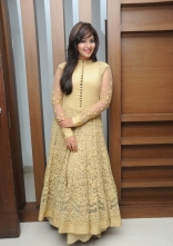 Anjali New Photos at Geethanjali Successmeet
