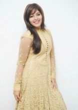 Anjali New Photos at Geethanjali Successmeet