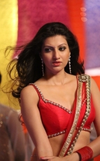 Hamsa Nandini Loukyam Item Song Photos Stills