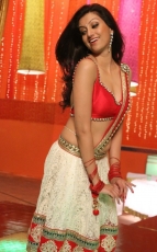 Hamsa Nandini Loukyam Item Song Photos Stills