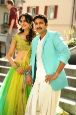 Loukyam Movie New Stills Gopichand Rakul Preet Singh Traditional Dress