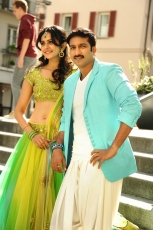 Loukyam Movie New Stills Gopichand Rakul Preet Singh Traditional Dress