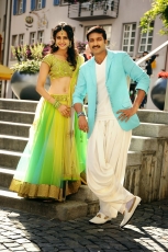 Loukyam Movie New Stills Gopichand Rakul Preet Singh Traditional Dress