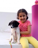 Mahesh Babu’s Daughter Sitara Ghattamaneni New Latest Photos