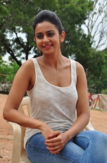 Rakul Preeth Singh Loukyam Movie Stills