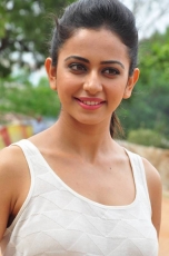 Rakul Preeth Singh Loukyam Movie Stills