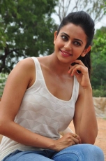 Rakul Preeth Singh Loukyam Movie Stills