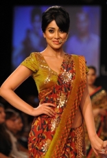 Shriya Saran Ramp Walk in Floral Saree at LFW Festive 2014 Photos