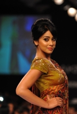 Shriya Saran Ramp Walk in Floral Saree at LFW Festive 2014 Photos