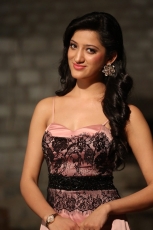 Richa Panai Latest Cute  and Hot Looks HD Photoshoot Stills Photos