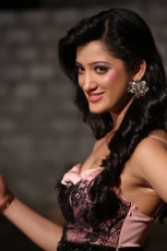 Richa Panai Latest Cute  and Hot Looks HD Photoshoot Stills Photos