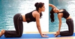 Yoga doing Photos by All Indian Actress Heroines Celebrities