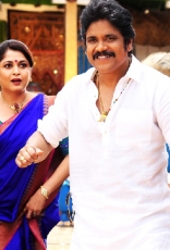 Akkineni Nagarjuna Soggade Chinni Nayana Movie HD Stills Photos Images