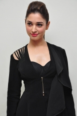 Tamanna Bhatia Hot ULTRA HD Photos At Ravi Teja Bengal Tiger Telugu Movie Audio Launch