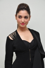 Tamanna Bhatia Hot ULTRA HD Photos At Ravi Teja Bengal Tiger Telugu Movie Audio Launch