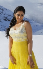 Regina Cassandra Latest HD Photos from Soukyam Telugu Movie New Images, Gallery