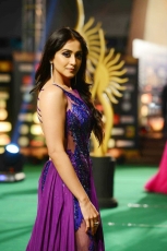 Actress Regina Cassandra Violet Transparent Dress HOT Ultra HD Photos at IIFA Utsavam Awards 2016