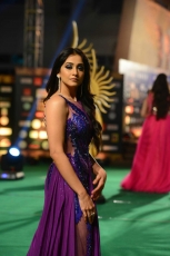 Actress Regina Cassandra Violet Transparent Dress HOT Ultra HD Photos at IIFA Utsavam Awards 2016