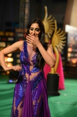 Actress Regina Cassandra Violet Transparent Dress HOT Ultra HD Photos at IIFA Utsavam Awards 2016