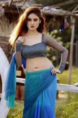 Sony Charishta Latest Hot Photo Shoot Spicy Stills ULTRA HD Photos in Blue Saree Gallery Images