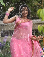 Actress Trisha Krishnan Wet Hot Ultra HD Photos in Kalavathi Movie