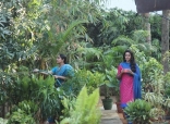 Oka Manasu Telugu Movie Latest Photos HD Stills  Naga Shaurya, Niharika Konidala