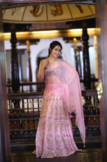 Rashi Khanna Hot in Pink Saree Latest Photos HD Stills