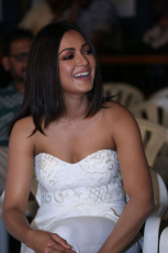 Catherine Tresa Latest HD Photos in White dress at Goutham Nanda teaser Launch Event