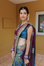 Diksha Panth New Latest HD Photos  Jr NTR Bigg Boss Telugu Show Heroine Diksha Panth Photo Shoot Images