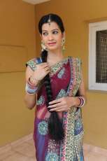 Diksha Panth New Latest HD Photos  Jr NTR Bigg Boss Telugu Show Heroine Diksha Panth Photo Shoot Images