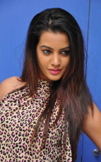 Diksha Panth New Latest HD Photos  Jr NTR Bigg Boss Telugu Show Heroine Diksha Panth Photo Shoot Images
