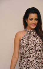 Diksha Panth New Latest HD Photos Jr NTR Bigg Boss Telugu Show Heroine Diksha Panth Photo Shoot Images