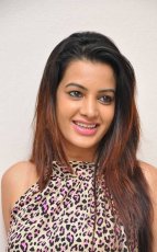 Diksha Panth New Latest HD Photos Jr NTR Bigg Boss Telugu Show Heroine Diksha Panth Photo Shoot Images