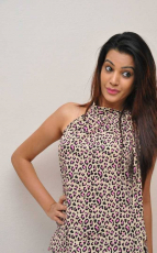 Diksha Panth New Latest HD Photos  Jr NTR Bigg Boss Telugu Show Heroine Diksha Panth Photo Shoot Images
