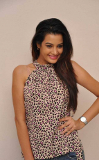 Diksha Panth New Latest HD Photos Jr NTR Bigg Boss Telugu Show Heroine Diksha Panth Photo Shoot Images