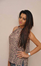 Diksha Panth New Latest HD Photos Jr NTR Bigg Boss Telugu Show Heroine Diksha Panth Photo Shoot Images