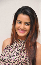 Diksha Panth New Latest HD Photos Jr NTR Bigg Boss Telugu Show Heroine Diksha Panth Photo Shoot Images