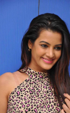 Diksha Panth New Latest HD Photos Jr NTR Bigg Boss Telugu Show Heroine Diksha Panth Photo Shoot Images